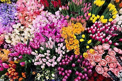 《华彩煌煌,吾之一族 幻灯时代》预定于5月20日发售！预购及店家特典内容公开