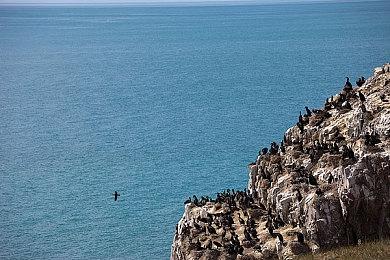 《英灵神殿》官方分享新火山环境：“灰烬之地”首批细节