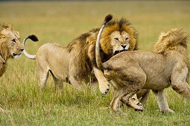 前《使命召唤》职业玩家被指作弊 5个摄像头直播自证