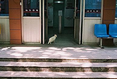 《龙腾世纪4》欧洲首周销量低于《龙信2》《FF7重生》